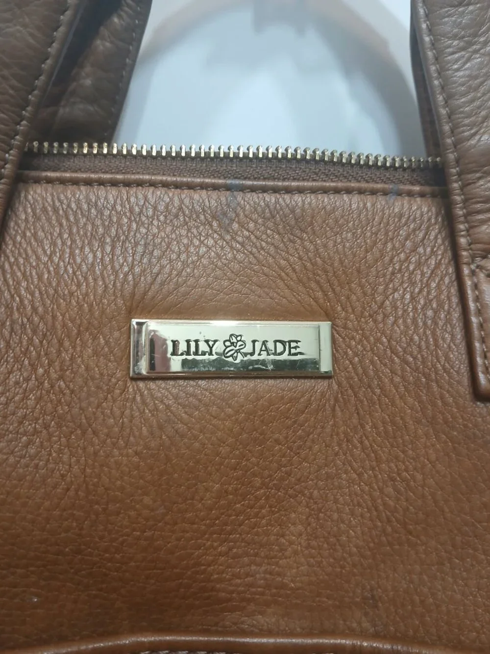 Lily Jade Hand Painted Travel Bag🤎